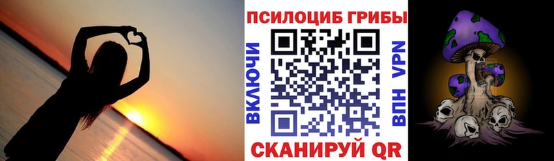 Псилоцибиновые грибы GOLDEN TEACHER  Купить  Богородск 